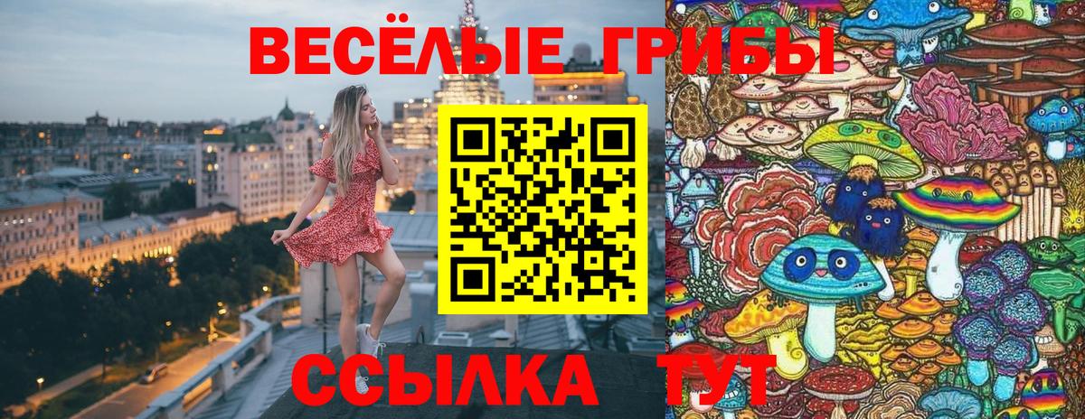 Псилоцибиновые грибы Psilocybe  Вход с VPN  хочу наркоту  Асино  Галлюциногенные грибы мицелий 
